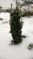 WP_20161115_005.jpg