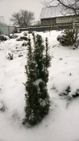WP_20161115_004.jpg