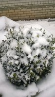 WP_20161115_008.jpg