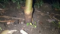 WP_20161116_005.jpg