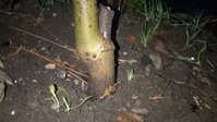 WP_20161116_006.jpg