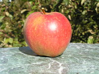 jabl 021.jpg