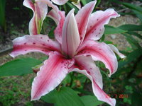 DSC07002.JPG