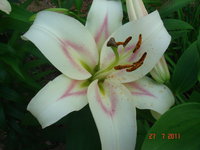 DSC07011.JPG