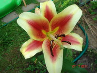 DSC07013.JPG