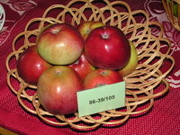 onf 009.jpg