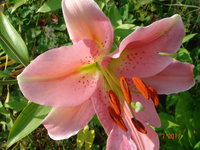 DSC07018.JPG