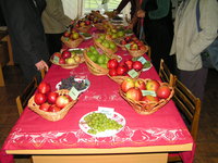 onf 035.jpg