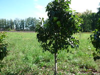 P1100306.JPG