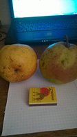WP_20161119_001.jpg