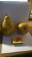WP_20161119_004.jpg