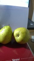 WP_20161119_007.jpg