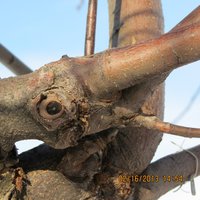 IMG_0234.jpg