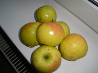 PB211016.JPG