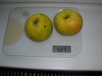 PB211024.JPG