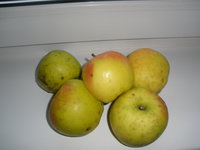 PB211019.JPG
