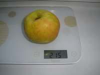 PB211022.JPG