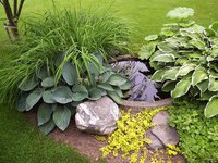 1 (86).jpg