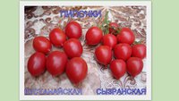 ПИПОЧКИ.jpg