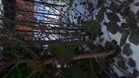P_20161121_114403_HDR.jpg