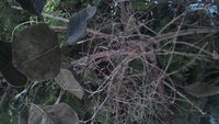 P_20161121_114610_HDR.jpg