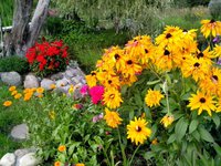 IMG_20160812_163044.jpg