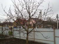 SL735491.JPG