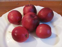 IMG_0032.JPG