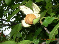 DSCN1336.JPG