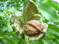 DSCN1343.JPG