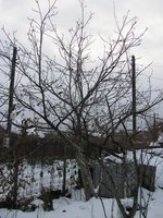 IMG_0007.JPG