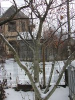 IMG_0008.JPG