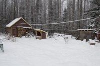 DSC_5548.jpg
