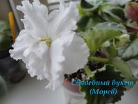 Свадебный букет.jpg
