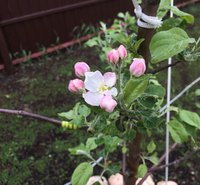 IMG_4235.JPG