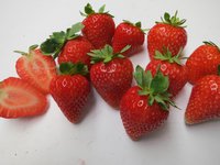 http://www.vissers.com/en/strawberryplants/p061105k