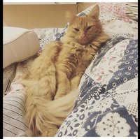 image.jpeg