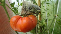 DSC05642.JPG