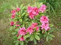 DSC08733.JPG
