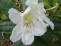 DSC07227.JPG