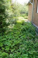 DSC_3867.jpg