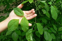 P1020129.JPG