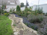 IMG_1350.JPG