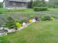 IMG_20160601_125357.jpg