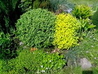 IMG_20160601_141324.jpg
