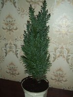 DSCF3935.JPG