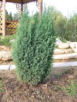 DSCF4309.JPG