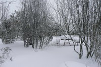 P1280893.JPG