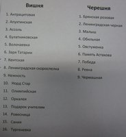 IMG_3989.JPG