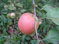 DSC03275.JPG